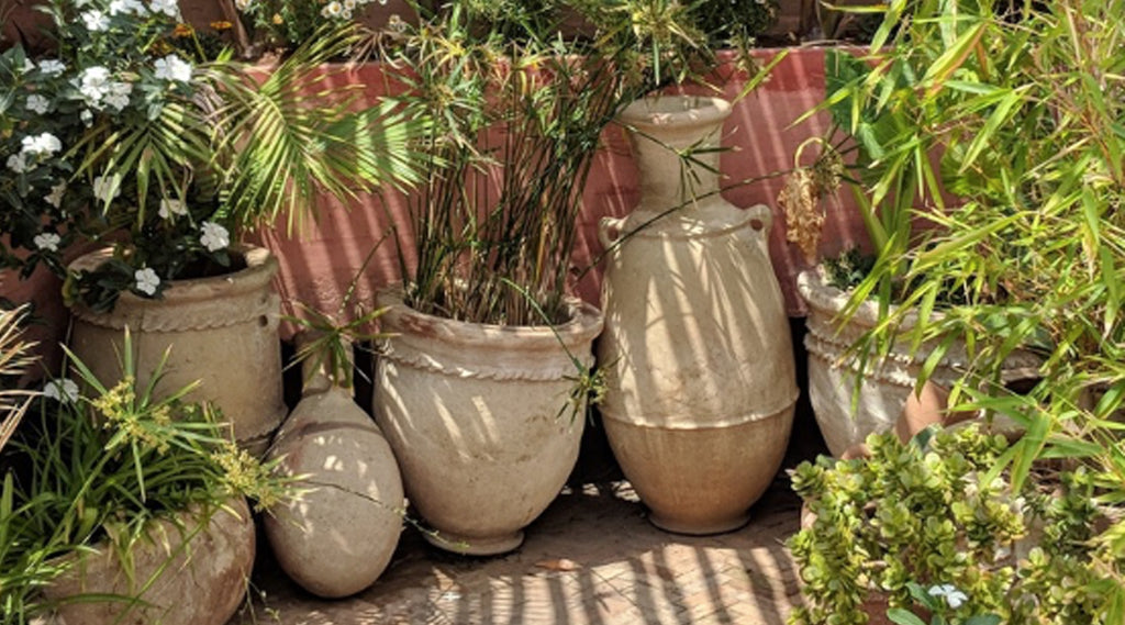 Marrakech A New tribe - ceramic pots outisde with plants in them