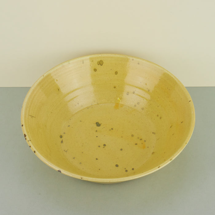 Speckled Large Yellow Bowl