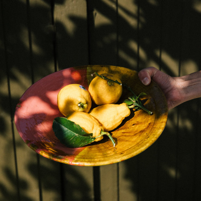 Hand holding a PINK AND GREEN TAMEGROUTE plate with lemons against a dark background
