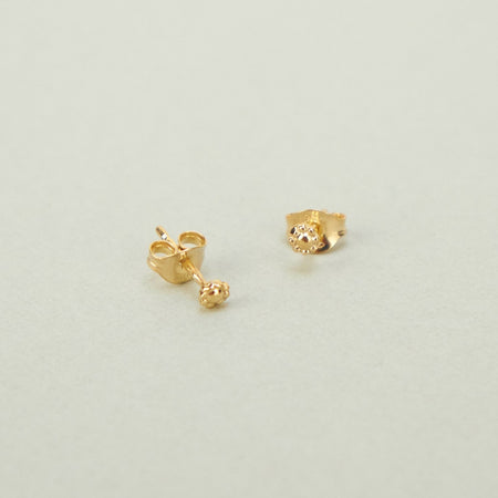 gold stud earrings on a plain background a new tribe 